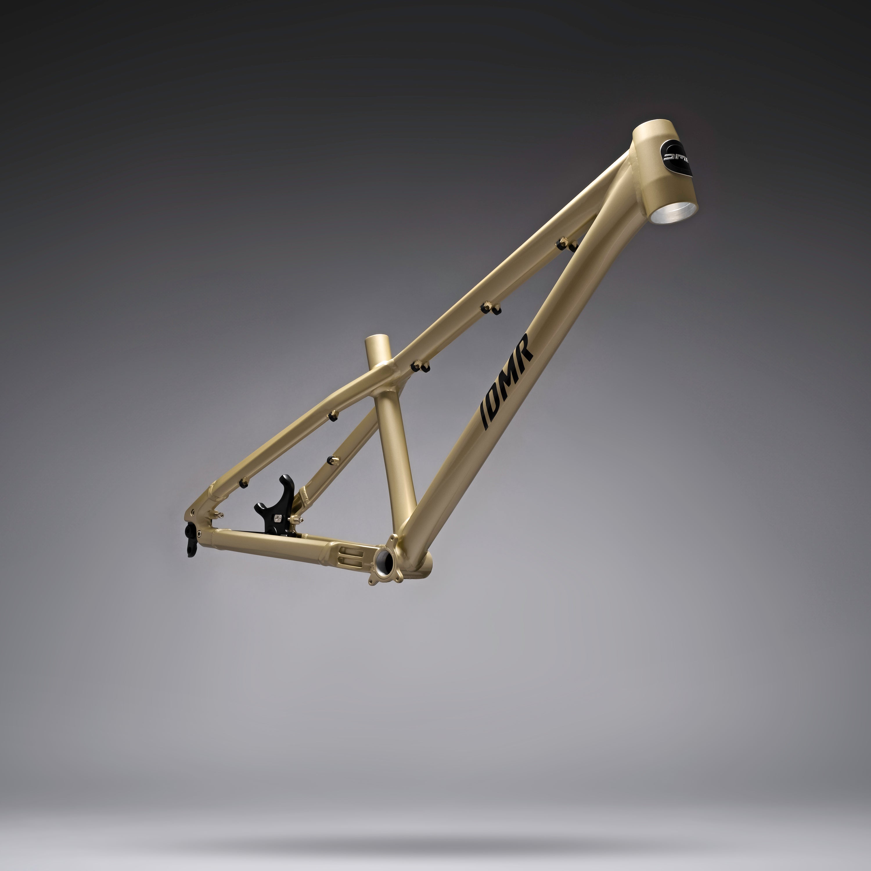 DMR Rhythm Frame Gold