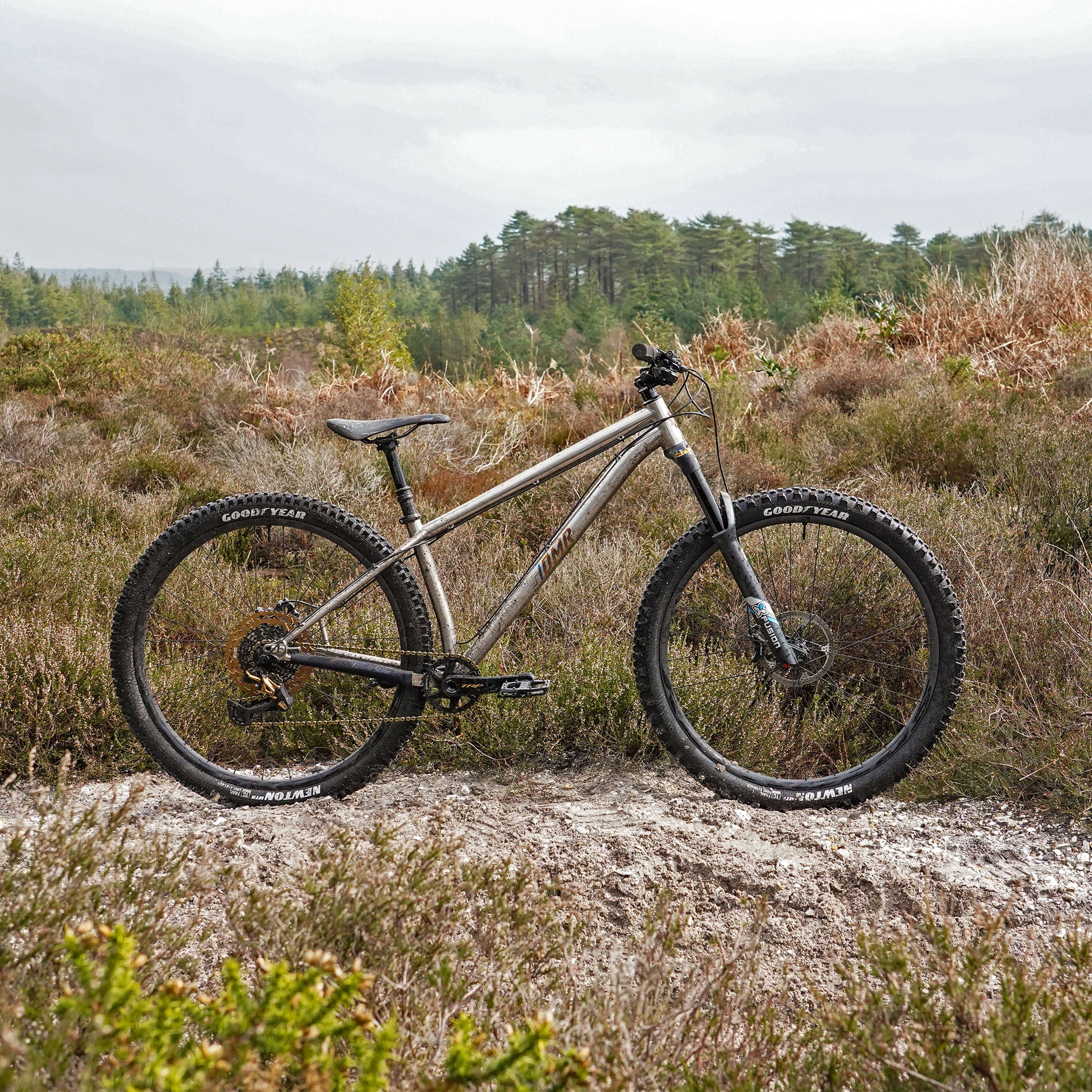 DMR Trailstar Titanium Custom Bike