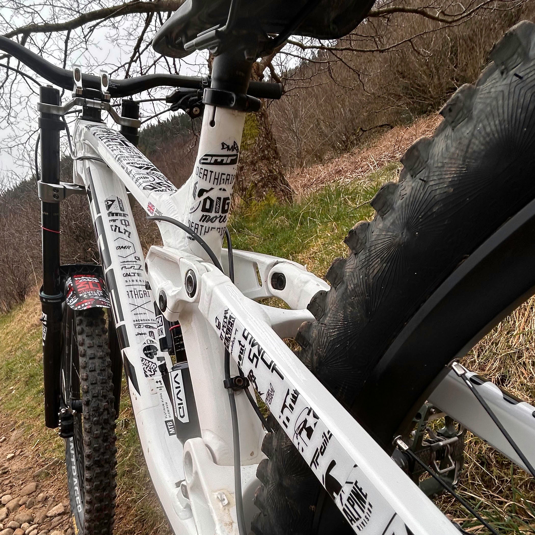 DMR HKT 30 year anniversary frame protection
