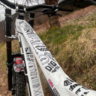 DMR HKT 30 year anniversary frame protection