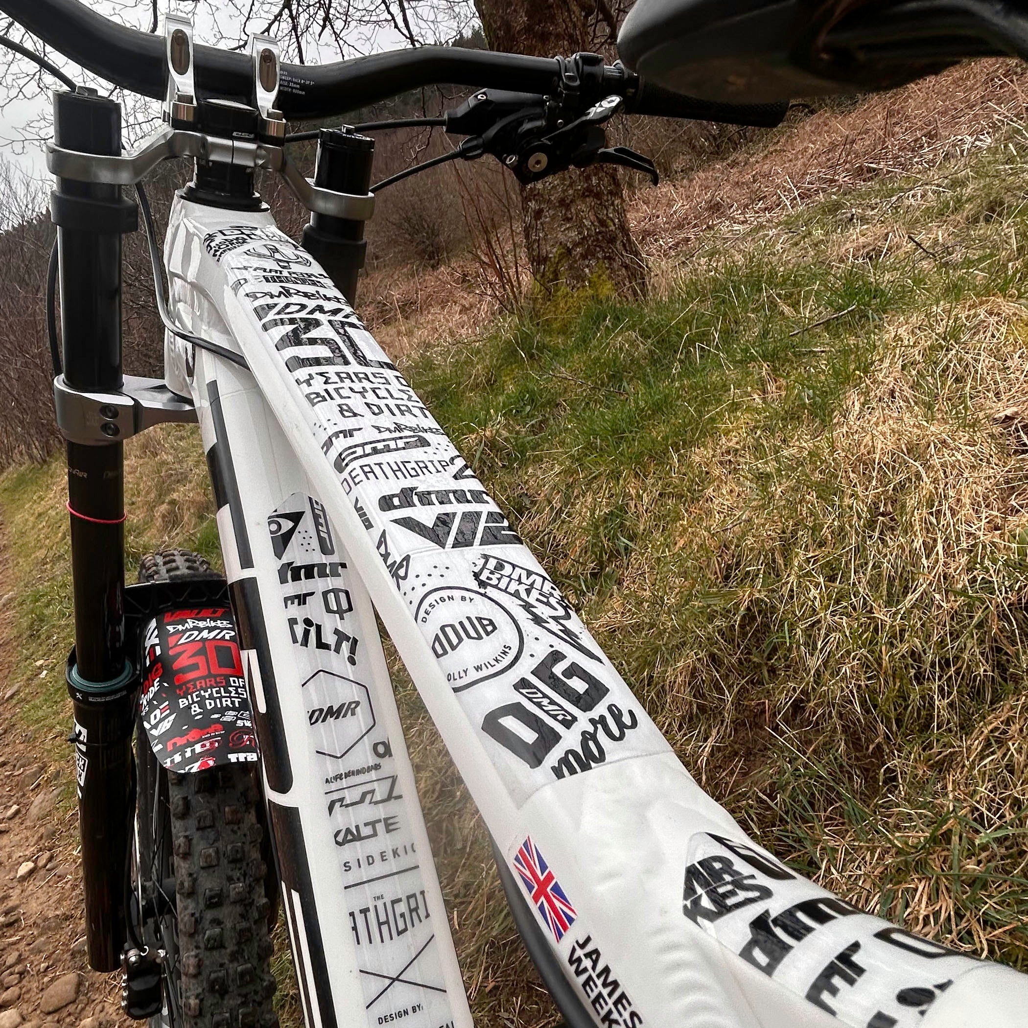 DMR HKT 30 year anniversary frame protection