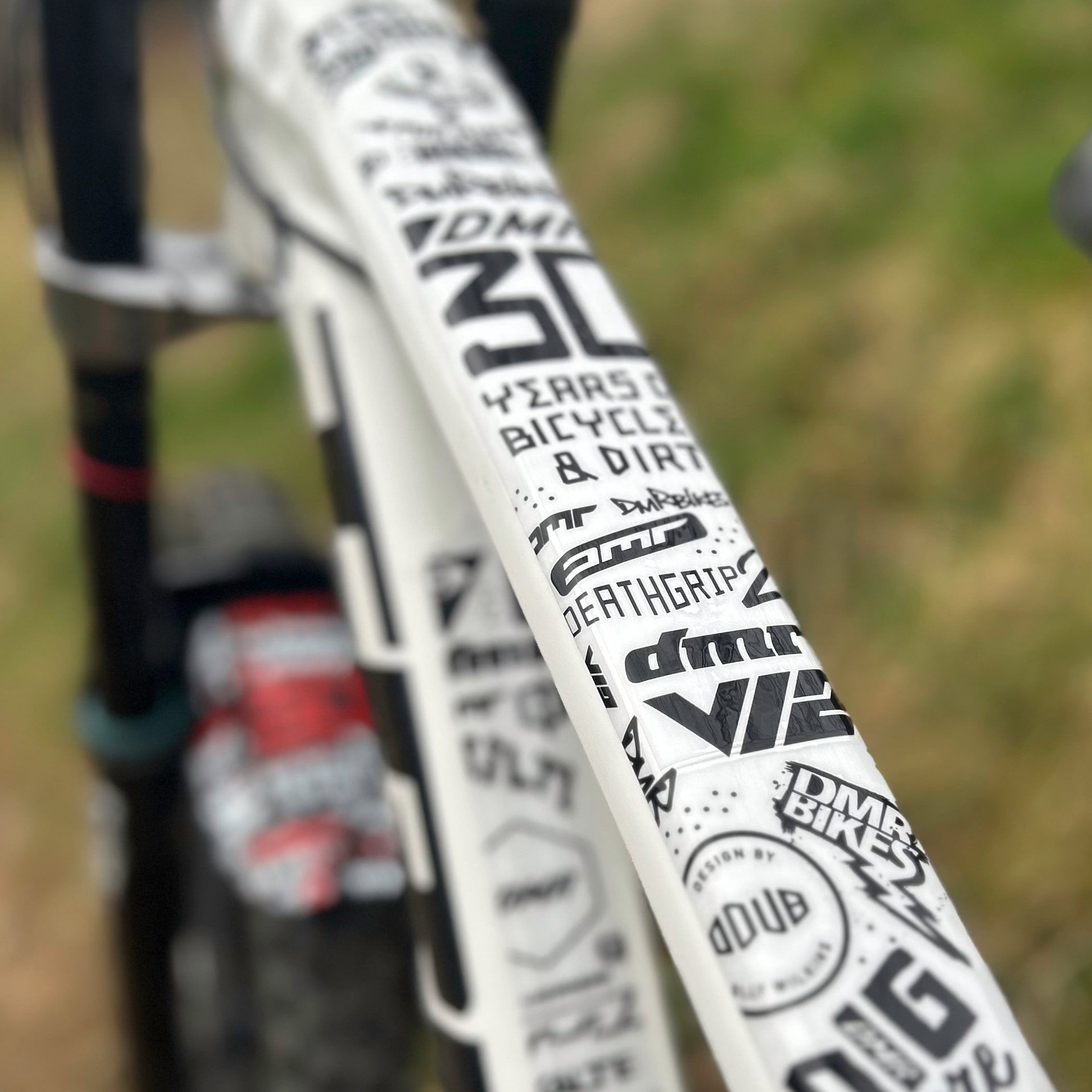 DMR HKT 30 year anniversary frame protection