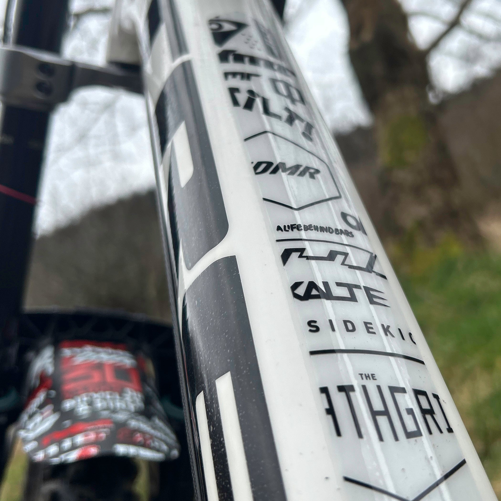 DMR HKT 30 year anniversary frame protection