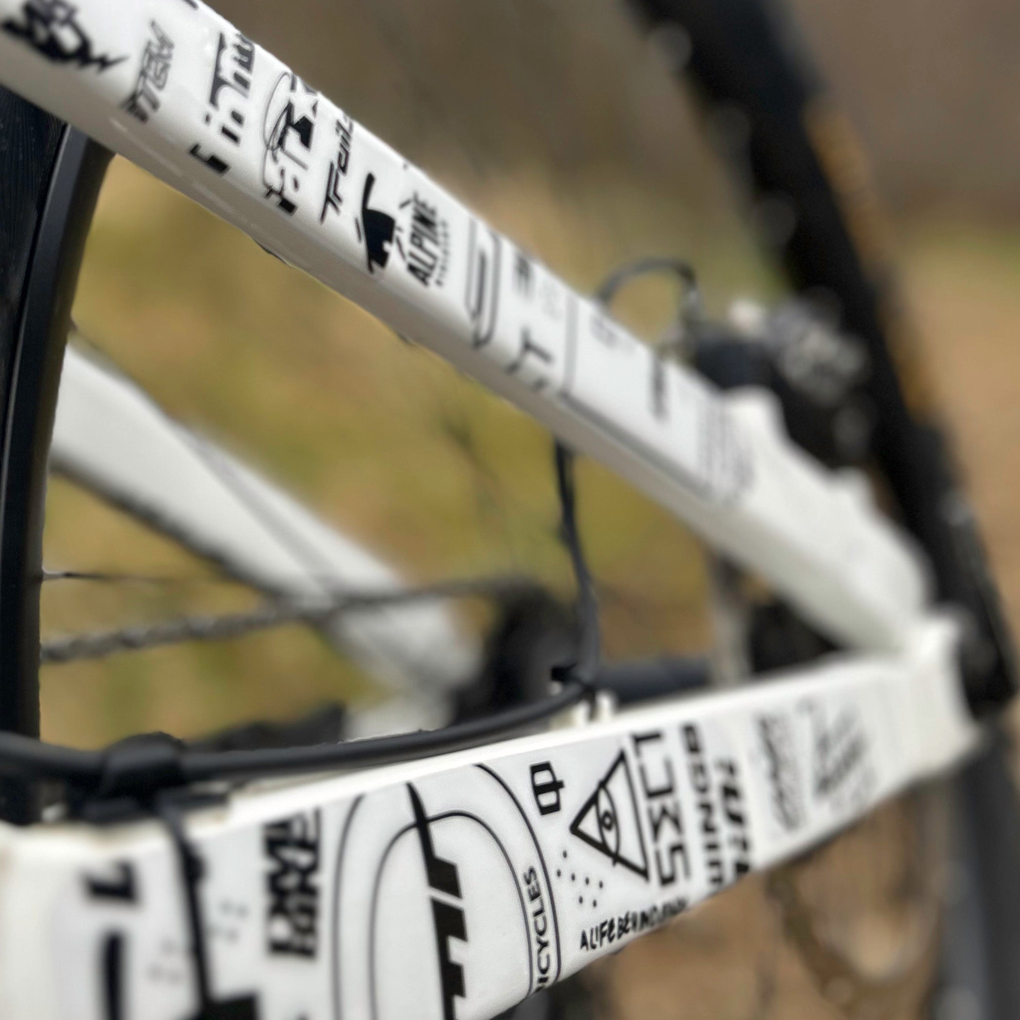 DMR HKT 30 year anniversary frame protection