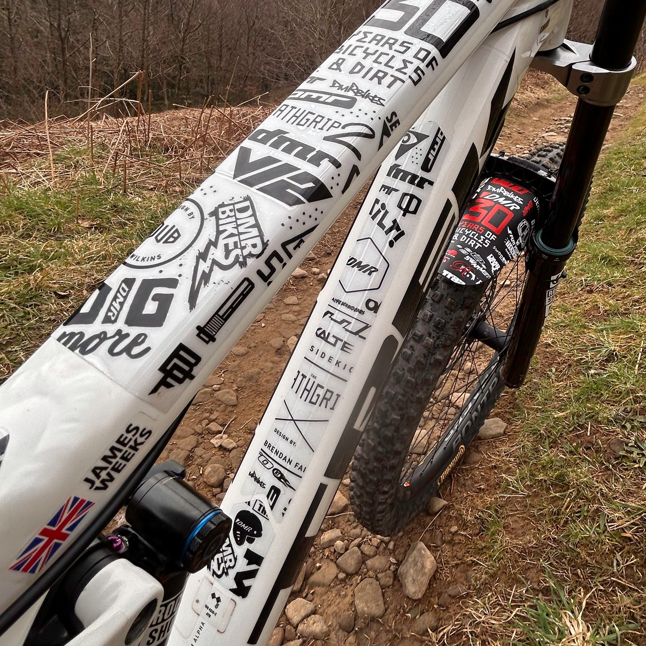 DMR HKT 30 year anniversary frame protection