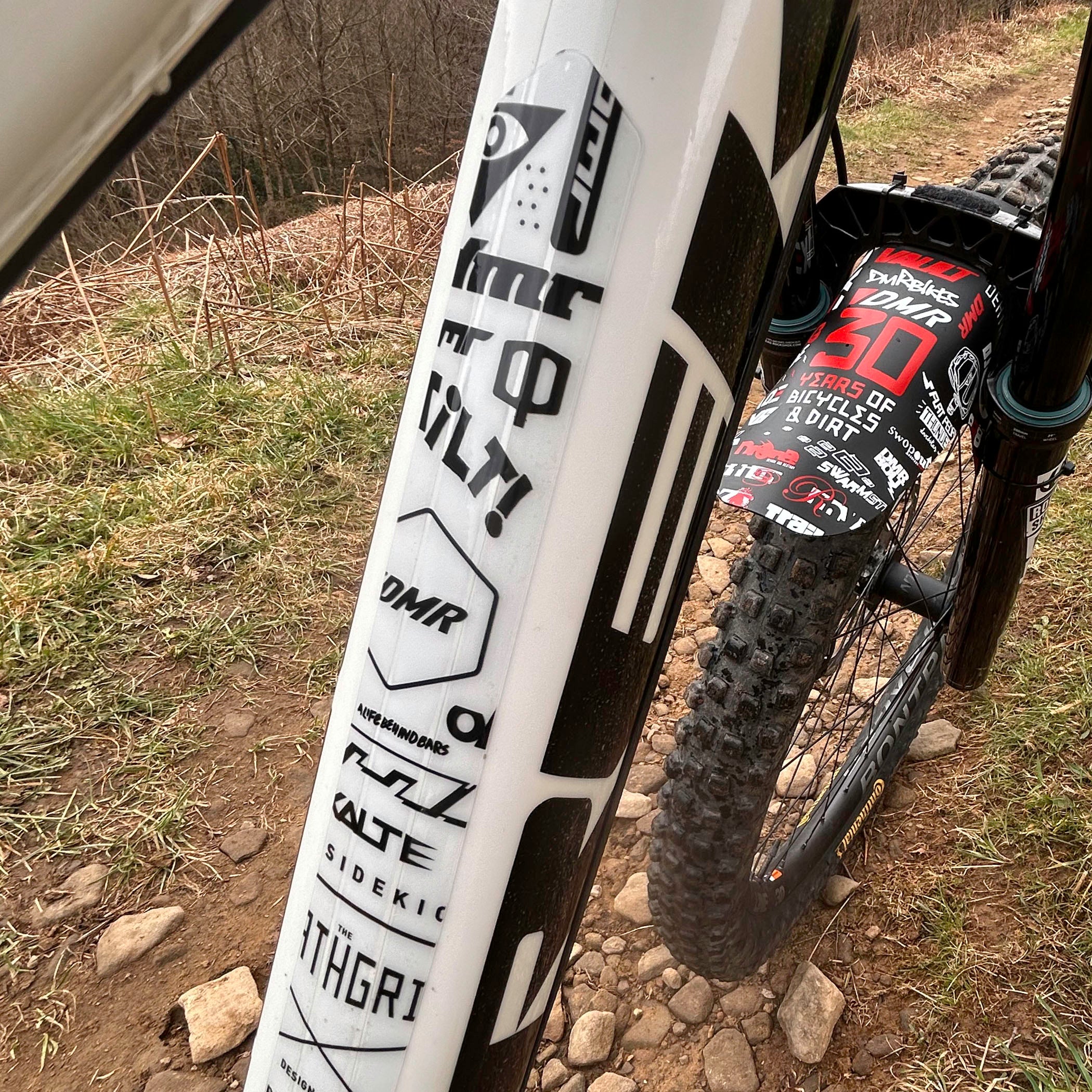 DMR HKT 30 year anniversary frame protection