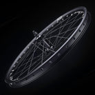 DMR Colt Rear Wheel 10mm Disc 24"