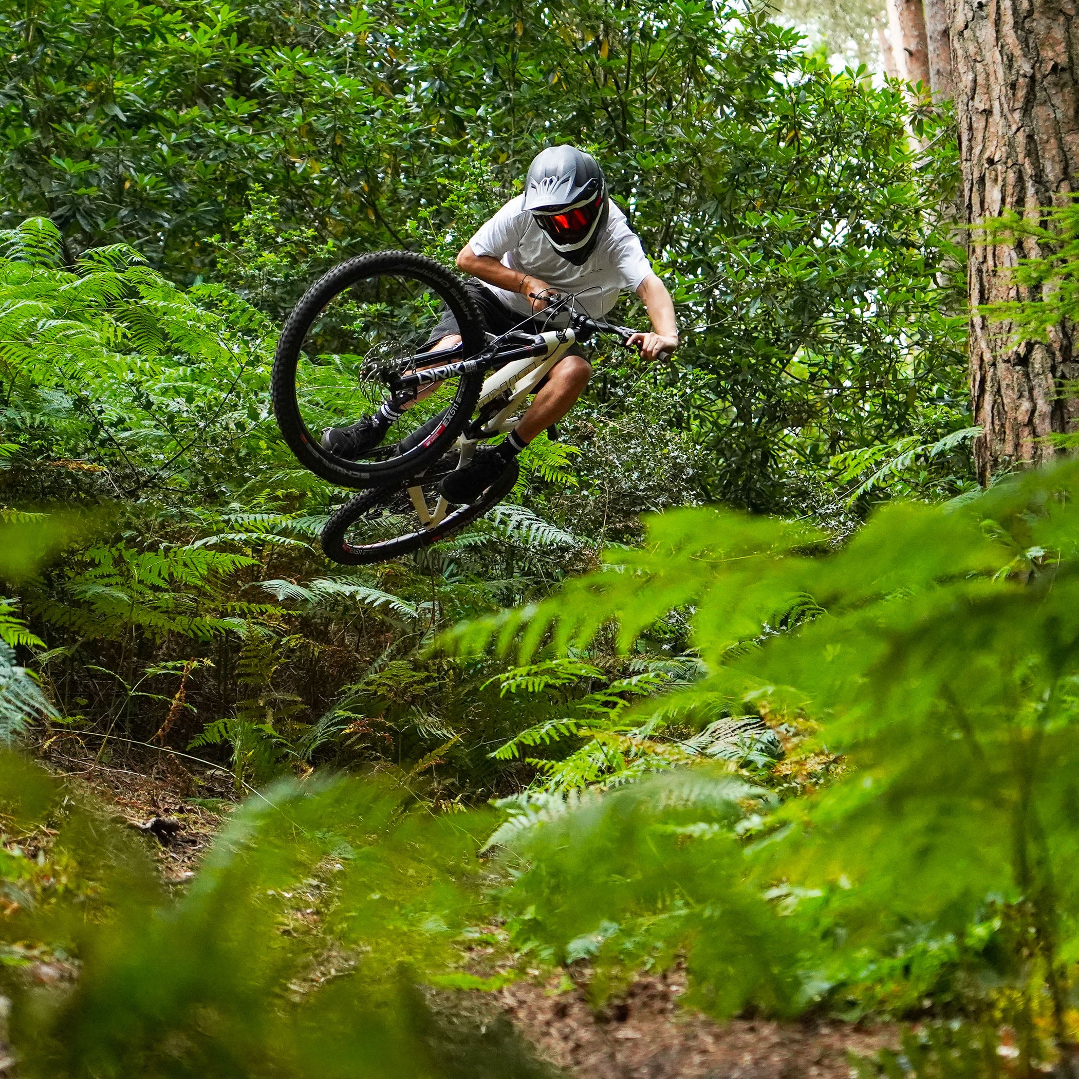 DMR Melon Diablo Goggle Collab 30 Year Product