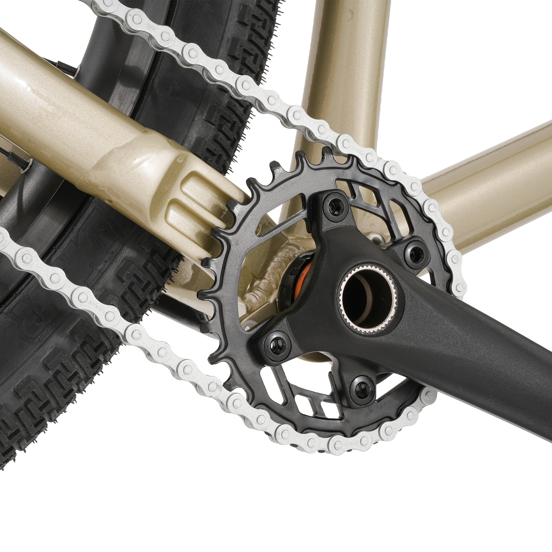 Close-up of a bicycle chain and gear system on a white background