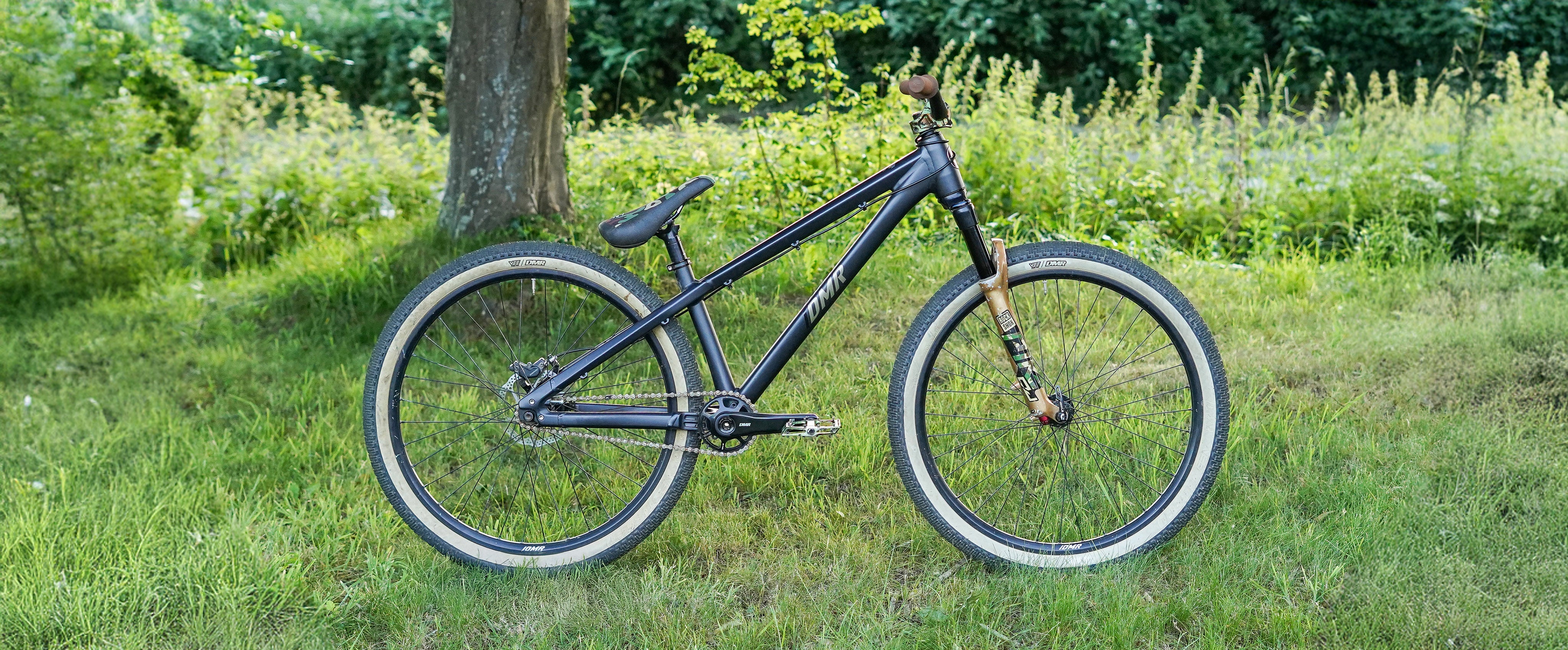 Black bicycle leaning against a tree in a grassy area