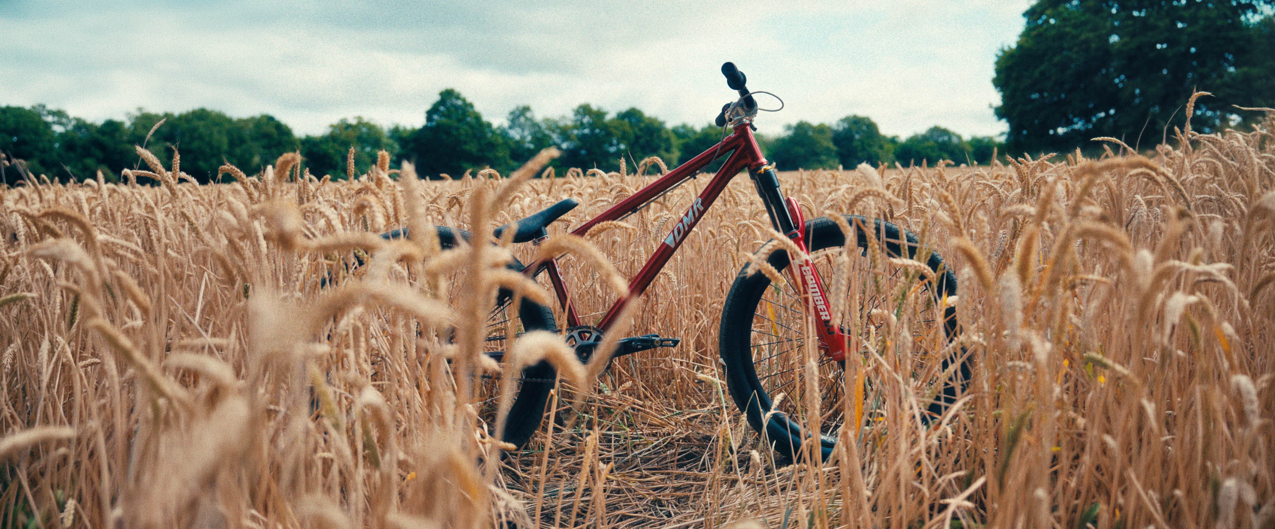 A red fat-tire bicycle with black tires is parked in a field of dry golden wheat under an overcast sky, with trees in the background.