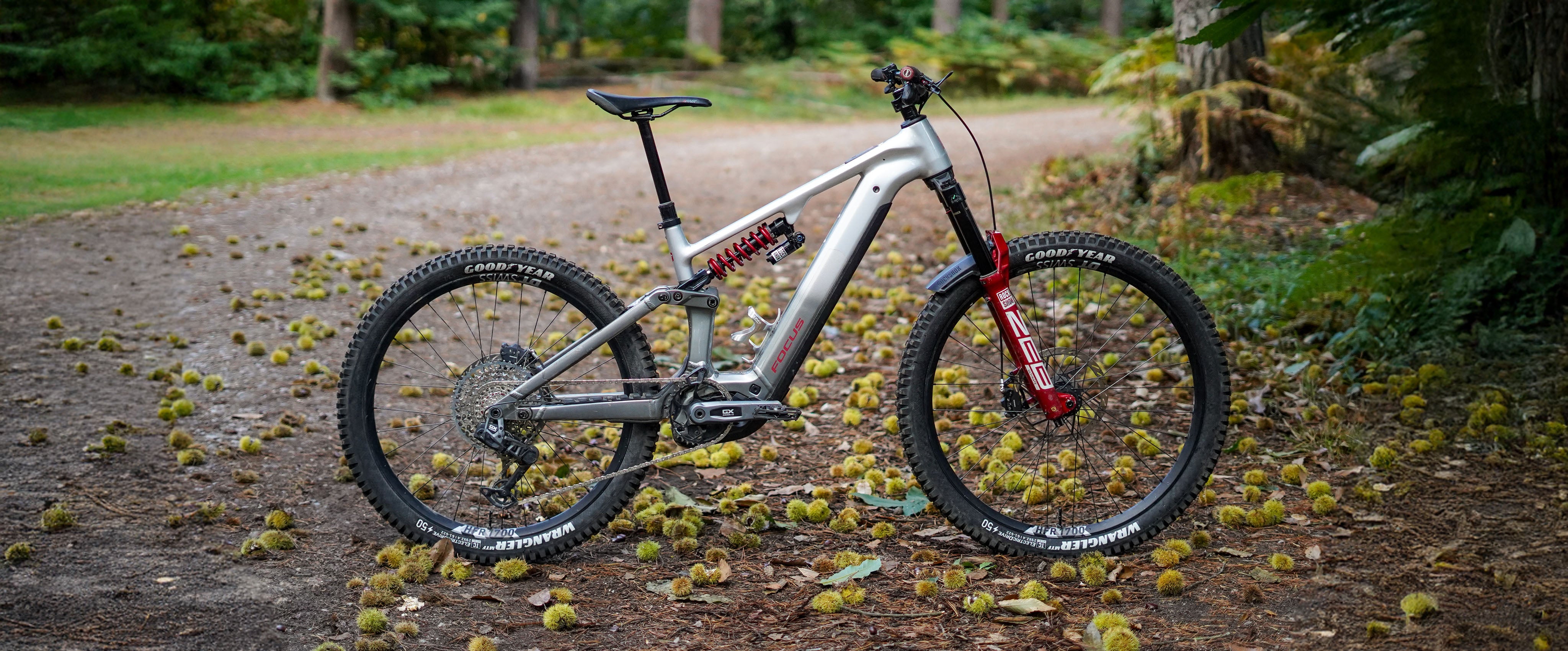Electric bike on a forest path with trees and greenery in the background