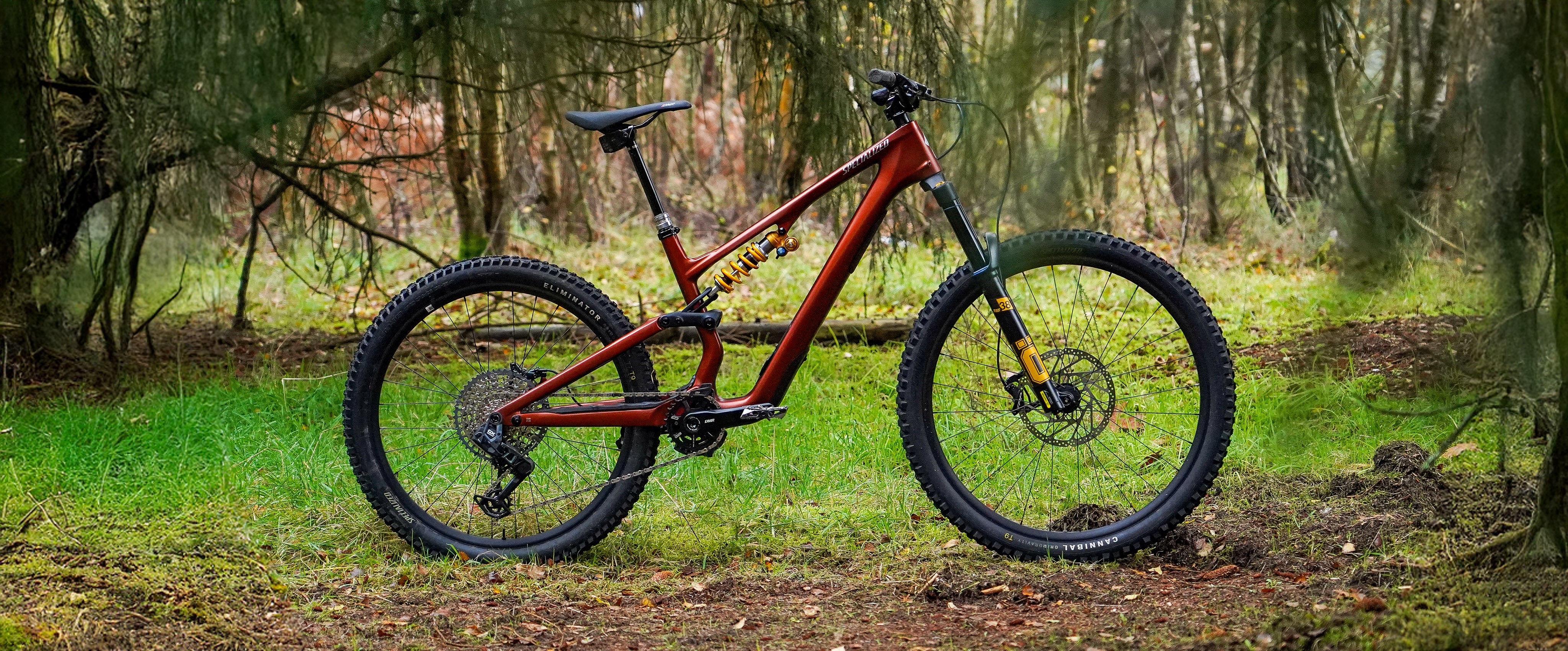 Red mountain bike on a forest trail