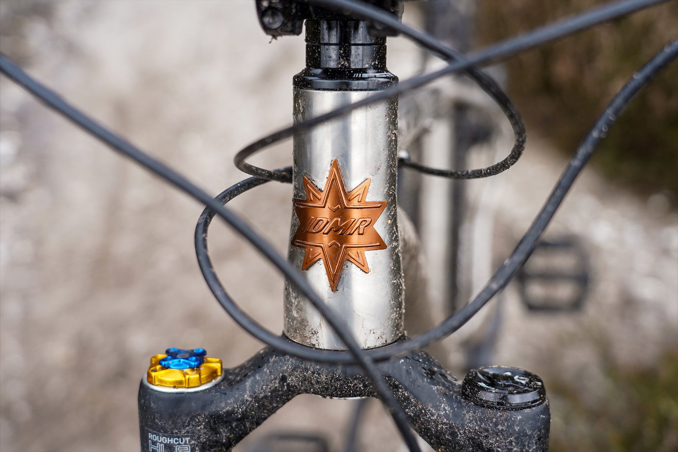 Close-up of a DMR Trailstar Ti Frame head tube badge, partially covered in dirt, with the fork below completely covered in dirt. It's very dirty. Trailstar... yeah.